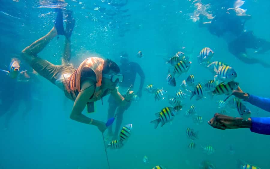 Cartagena: 5 Island Boat Tour with Night Bioluminescent Stop - Who should book this island tour?