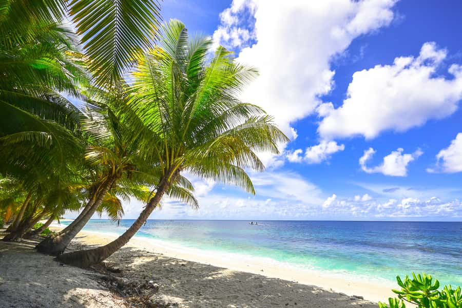 Cartagena: 5 Islands Boat Tour with Lunch, Snorkeling, & Bar - A full day from Cartagena to the Rosario Islands
