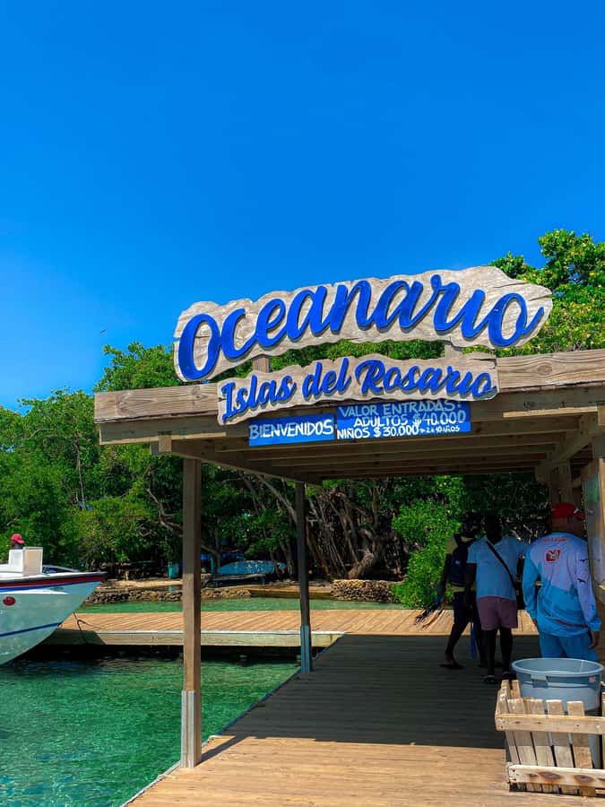 Cartagena: 5 Rosario Islands Tour with Snorkeling and Lunch - Coral, a sunken plane, and the snorkeling stop