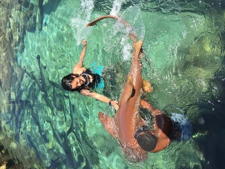 cartagena: Mucura and Santa Cruz Islands Tour spectacular - Practical Advice for a Better Day