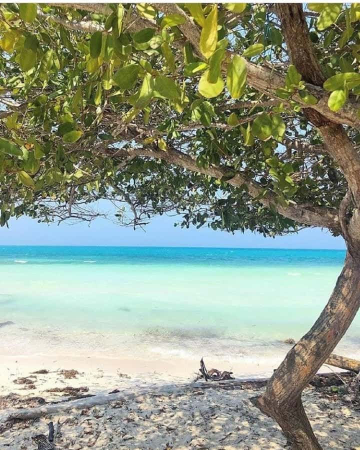 cartagena: Mucura and Santa Cruz Islands Tour spectacular - Should You Book the Múcura and Santa Cruz Tour?