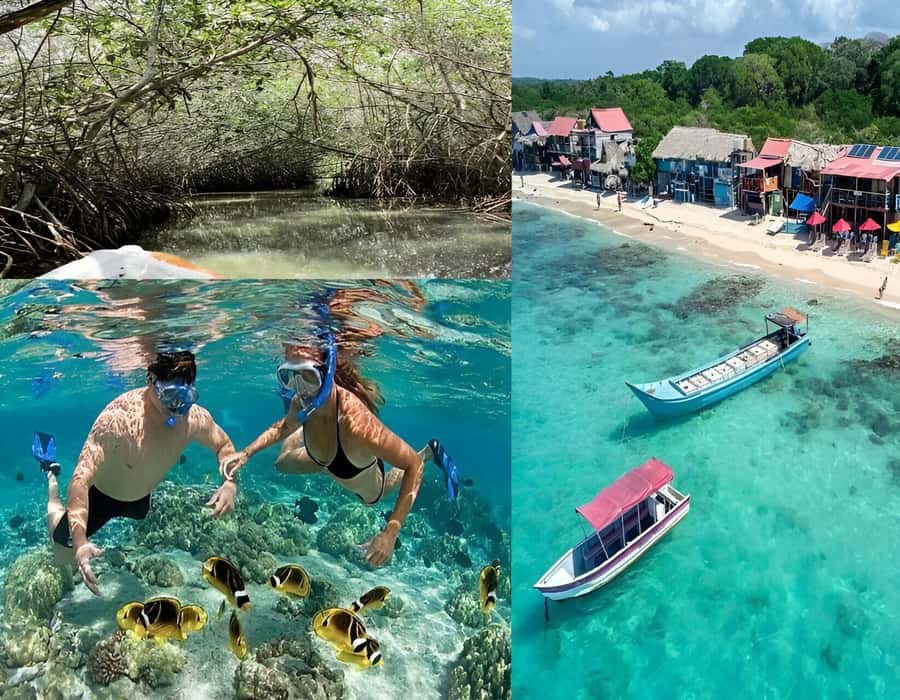 Cartagena: Visit 4 islands in a speedboat + plankton! - Speedboat views around the Rosario Islands