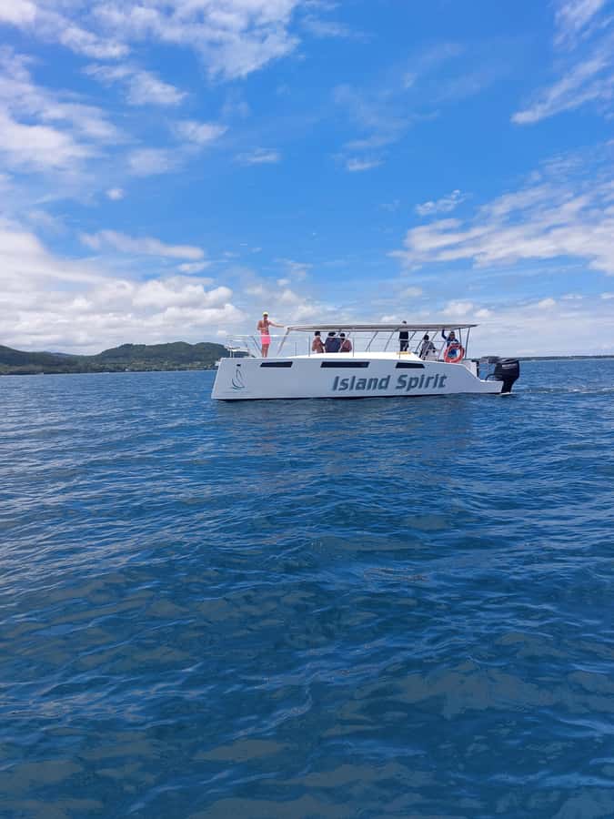 Catamaran Mauritius: South East 5 Islands Catamaran Cruises - Watching for dolphins and tortoises