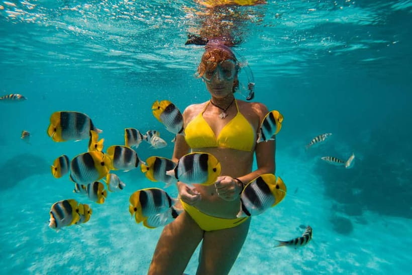 Cebu: Island Hopping 3 Islands + San Vicente Fish + Lunch - What you are paying for at $121