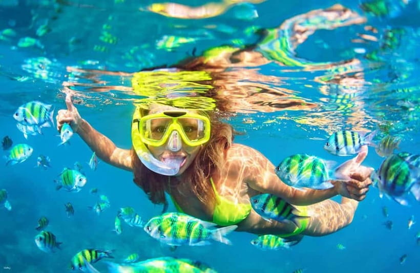 Cebu: Island Hopping 3 Islands + San Vicente Fish + Lunch - San Vicente Fish Sanctuary starts the snorkeling