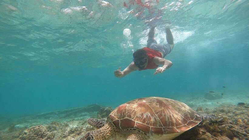 Cebu: Moalboal Island Hopping and Mantayupan Falls Day Trip - Guide communication deserves attention