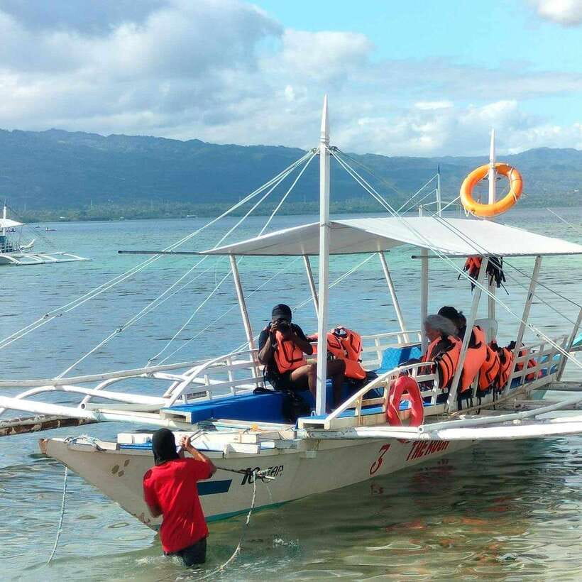 Cebu: Moalboal Island Hopping & Kawasan Falls Adventure - Should you book the Moalboal and Kawasan Falls day?