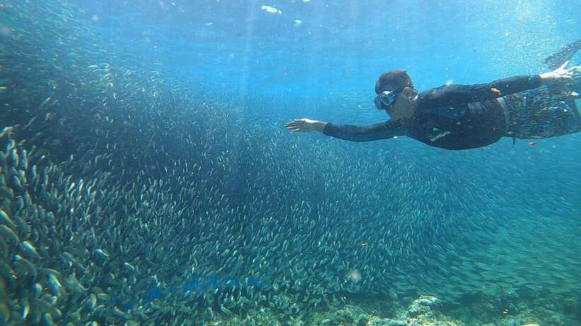 Cebu: Moalboal Island Hopping & Kawasan Falls Adventure - Pickup, vehicles, and a long day on Cebu