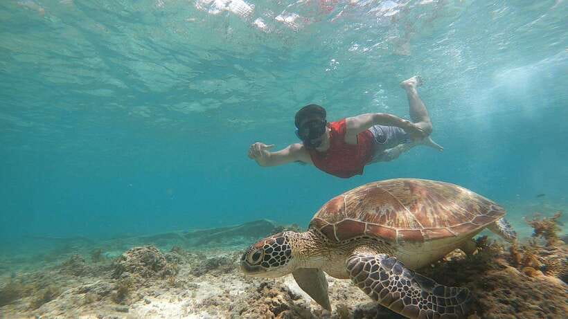 Cebu: Moalboal Island Hopping & Kawasan Falls Adventure - Small details that make the day easier