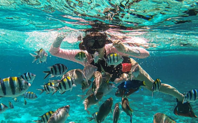 Cebu: Private Mactan Island Hopping Tour with Lunch - Key points at a glance