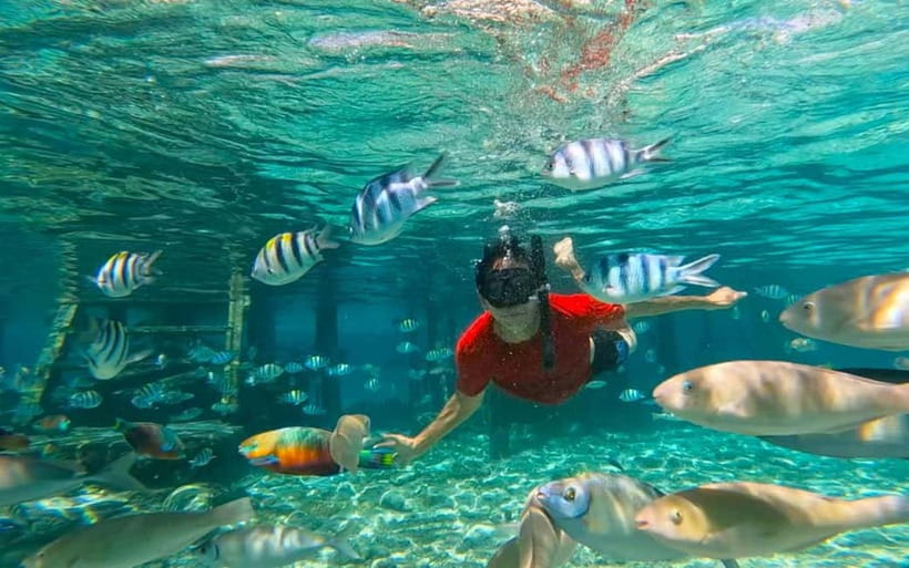 Cebu: Private Mactan Island Hopping Tour with Lunch - Gilutungan gives you the best first look underwater