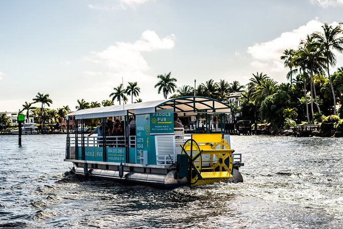 Clearwater Island Hop and Dolphin Watch with Swimming - Crew service and what it adds