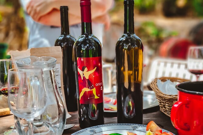 Coastal Vineyards: A Dream Wine Tour to Elaphiti Islands - Who will enjoy this four-hour outing?