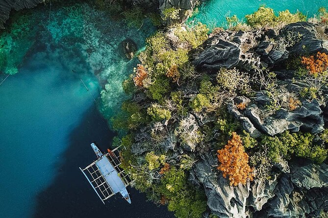 Coron Palawan Snorkeling & Island Hopping Tour (Private) - Why this private Coron day works so well