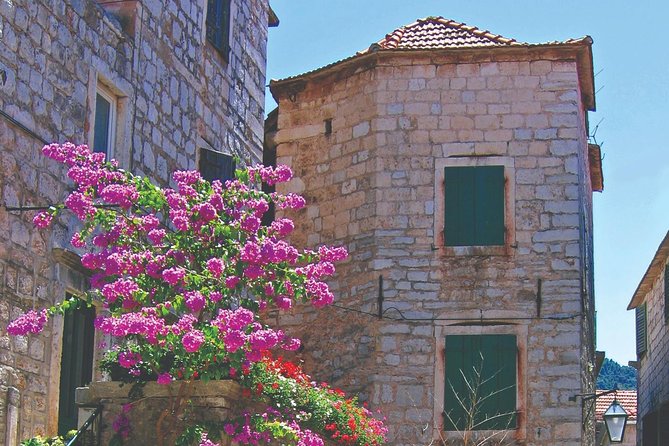 Croatia Island Hopping: Dalmatia from Split (8 days) - Day 6: Dubrovnik’s walls, churches, and rooftops
