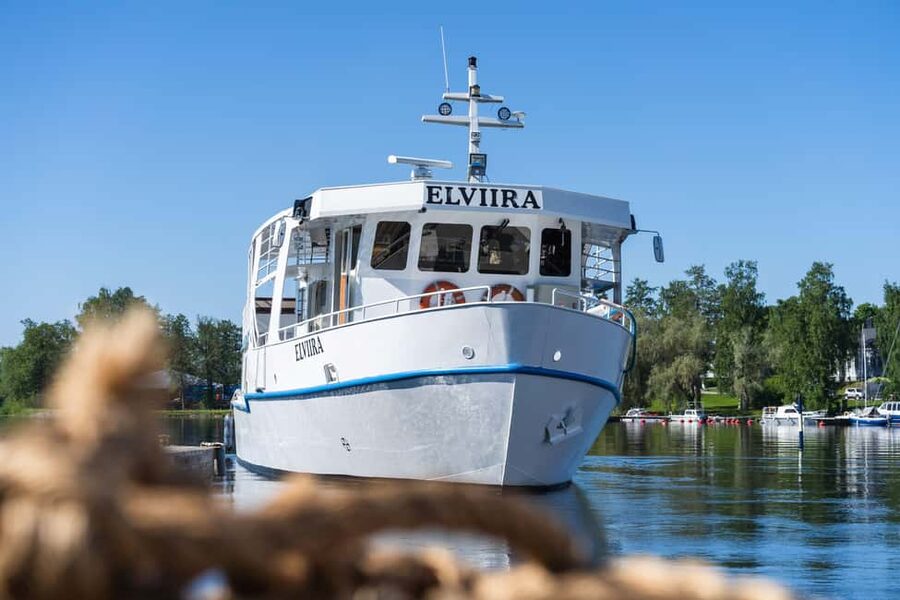 Cruise around Savonlinna archipelago - Wildlife possibilities, including the Saimaa ringed seal