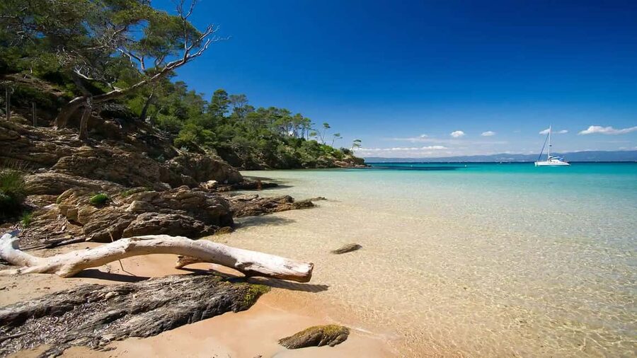 Cruise of the 2 Islands: Porquerolles & Port-Cros with stops - Two Îles d’Or in one well-planned day