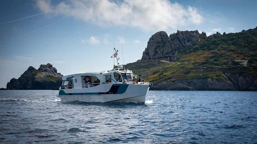 Cruise of the 2 Islands: Porquerolles & Port-Cros with stops - Four hours on Porquerolles, used wisely