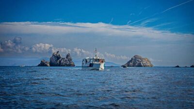 Cruise of the 2 Islands: Porquerolles & Port-Cros with stops