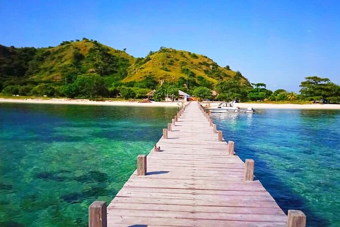 Daily Trip Highlight Komodo Archipelago by Speed Boat - Pink Beach for swimming and coral