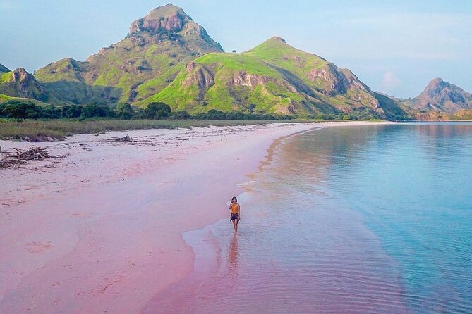 Daily Trip Highlight Komodo Archipelago by Speed Boat - Komodo Island and the two-hour dragon walk