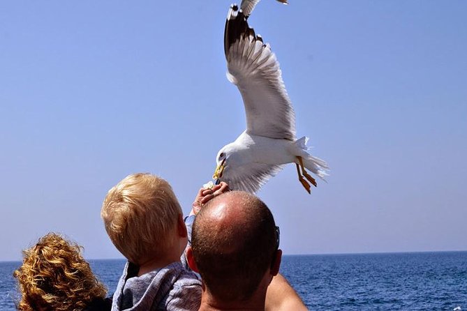 Day Cruise in the Elafiti Islands from Dubrovnik - The boat ride is the main event