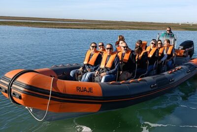 Dolphin Watching + 2 Islands Tour – From Faro