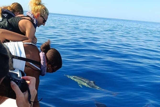 Dolphin Watching + 2 Islands Tour - From Faro - Who will enjoy this boat trip most?