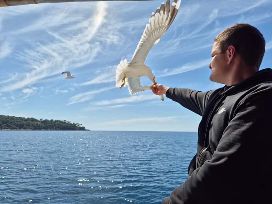 Dubrovnik: 3 Island Boat Tour with Lunch and Guide - Trsteno and the first stretch of coast