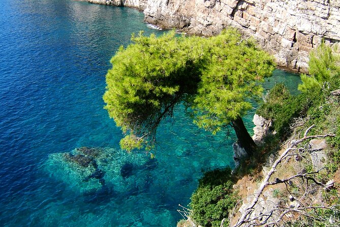 Dubrovnik: 3 Islands Boat Tour with Lunch & drinks(FR, ES, EN) - Who will enjoy this day most
