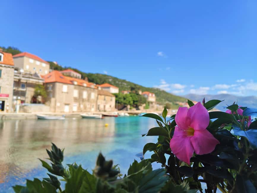 Dubrovnik: Blue Cave & Elaphiti Islands Full-Day Boat Tour - Timing, swimming, and what to pack