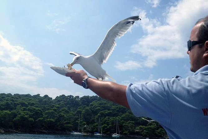 Dubrovnik Elafiti Islands Cruise with Lunch, Drinks and Pickup - What the crew does well