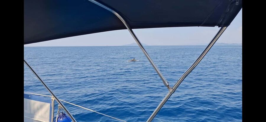 Dubrovnik : Full Day Group Boat Tour to Elaphiti & Blue Cave - What $168 really gets you