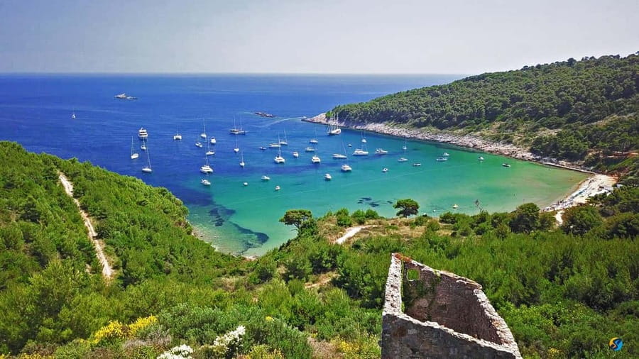 Dubrovnik: Half-Day Boat Tour to Elaphite Islands 4h - Who will get the most from this island trip