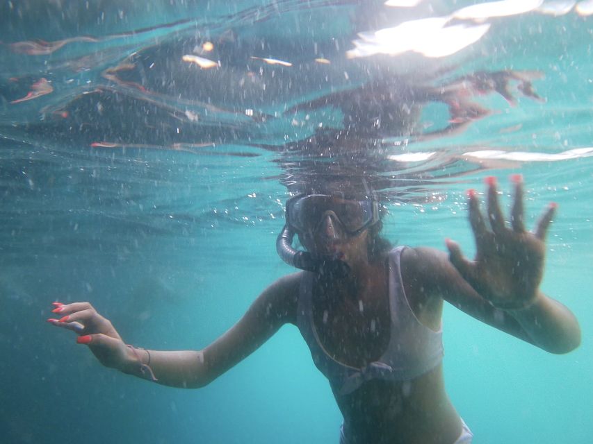 Dubrovnik: Half-Day Private Boat Trip to Elafiti Islands - Who Should Book This Four-Hour Trip