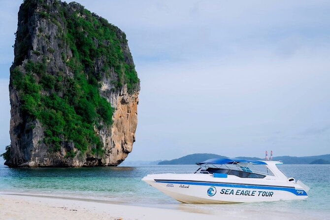 Early Bird Phi Phi 4 Islands by Speedboat 2 Trips in 1 Day - Chicken Island and the sandbar depend on the tide