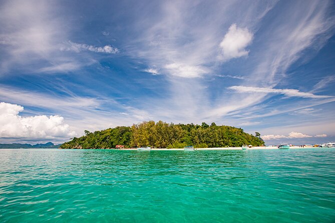 Early Bird Phi Phi Islands Tour From Phi Phi by Speedboat - Shark Point is the best stop for confident snorkelers