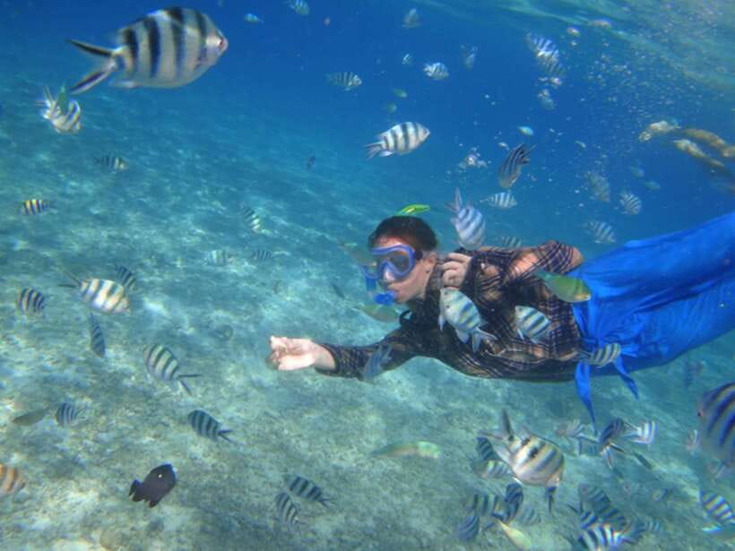 El Nido: Island Hopping Tour A Lagoons and Beaches - Lunch on the Boat or Beach