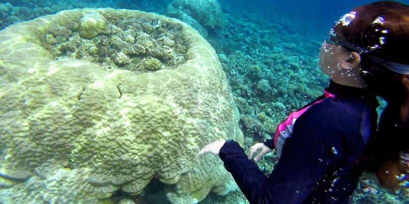 El Nido: Island Hopping Tour B Cudognong Cave & More - Who should book Tour B