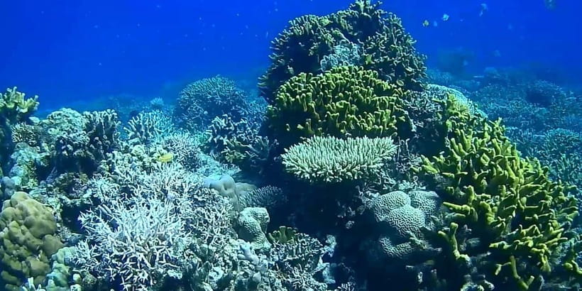El Nido, Sibaltan: Private Snorkeling & Secret Islands Tour - What the eight-hour schedule feels like