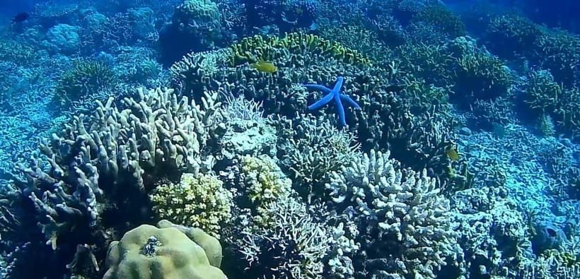 El Nido, Sibaltan: Private Snorkeling & Secret Islands Tour - Who will enjoy this Sibaltan tour most