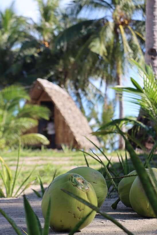 El Nido to Coron: 3-Day 2-Night Island-Hopping Expedition - Food, drinks, and the surprisingly good boat kitchen