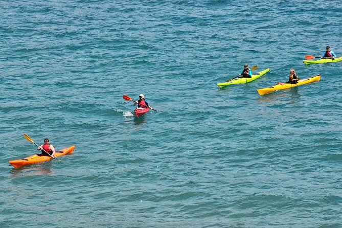 Elafiti Islands Sea kayaking: Full-Day Bike and Kayak tour on Lopud and Šipan - The ferry to Lopud takes you out of Dubrovnik mode