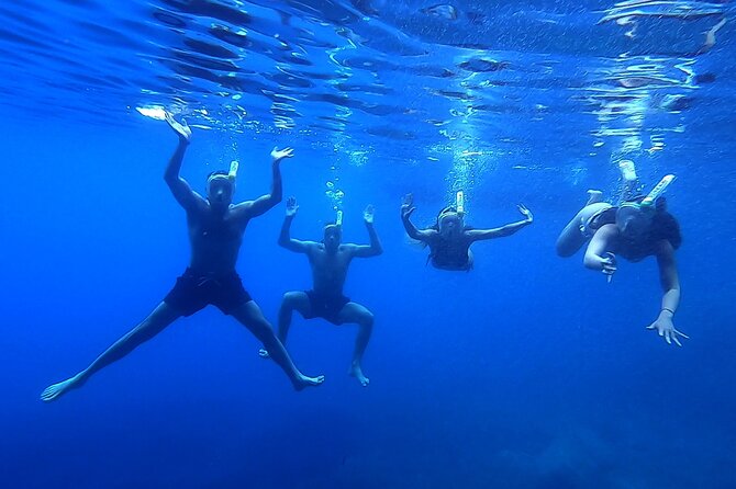Elaphite Islands & Mljet - Private Boat Excursion from Dubrovnik - Three Hours at Mljet’s Lemuni Lagoon