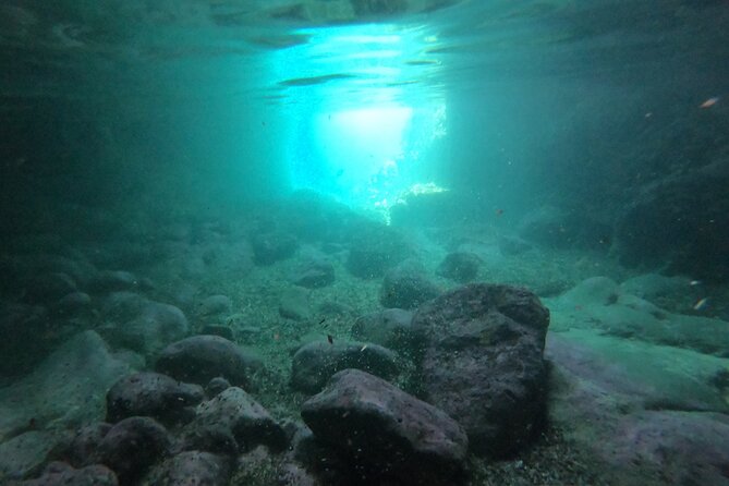 Elaphiti Island private boat tour - Who should book this private Elaphiti tour?