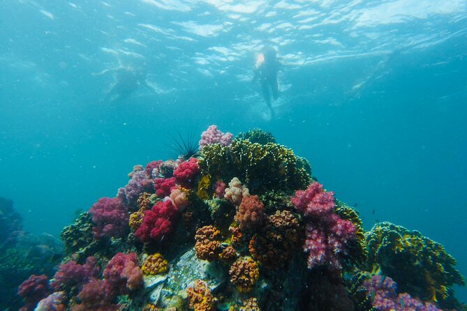 Experience the Koh Lipe Frontier in the Eastern Adang Archipelago - Koh Ro Khloi, a quiet beach and panoramic views