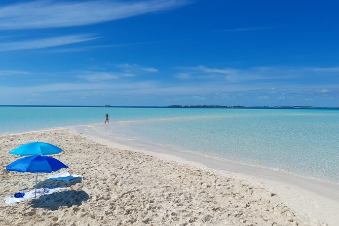 Exuma Island Hopping Swimming Pigs Tour with Lunch from Nassau - Pig Beach on Big Major Cay