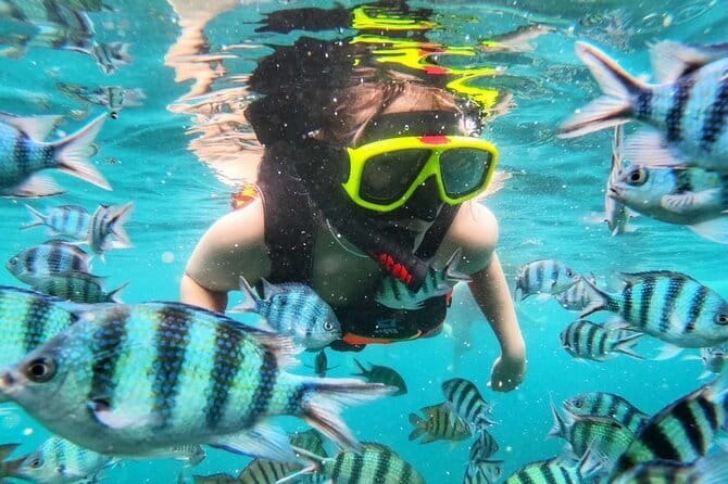 Famous Six Island Snorkeling Trip from Ko Samet - Koh Kham, Koh Krauy, and the tide-dependent Separated Sea