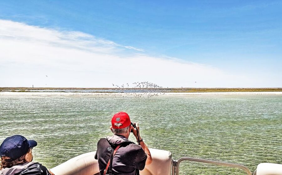 Faro: Ria Formosa Faro Islands Boat Tour - My practical verdict