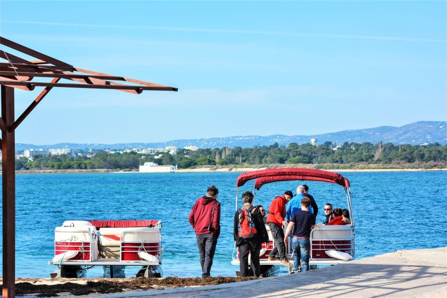 Faro: Ria Formosa Faro Islands Boat Tour - The short cruise to Farol Island